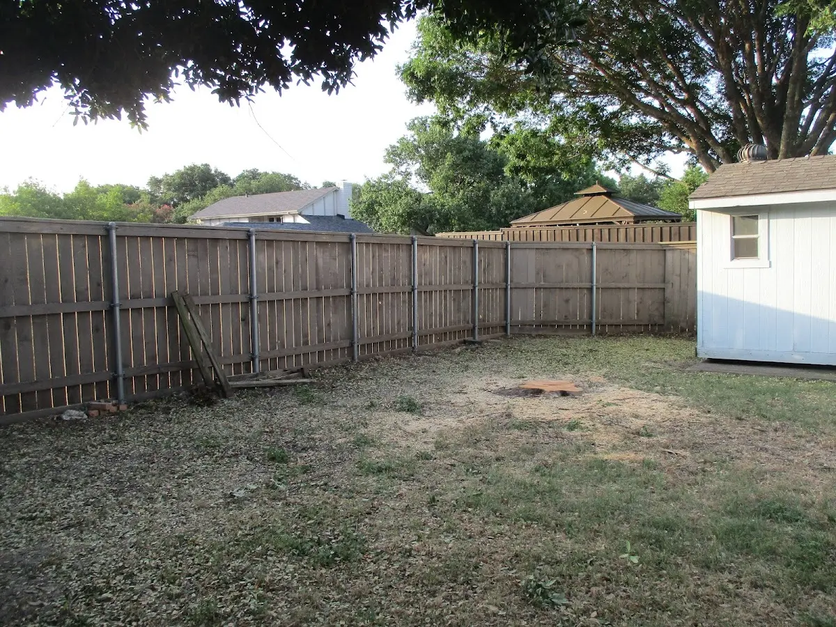 Cleared yard after professional tree removal in Harrodsburg